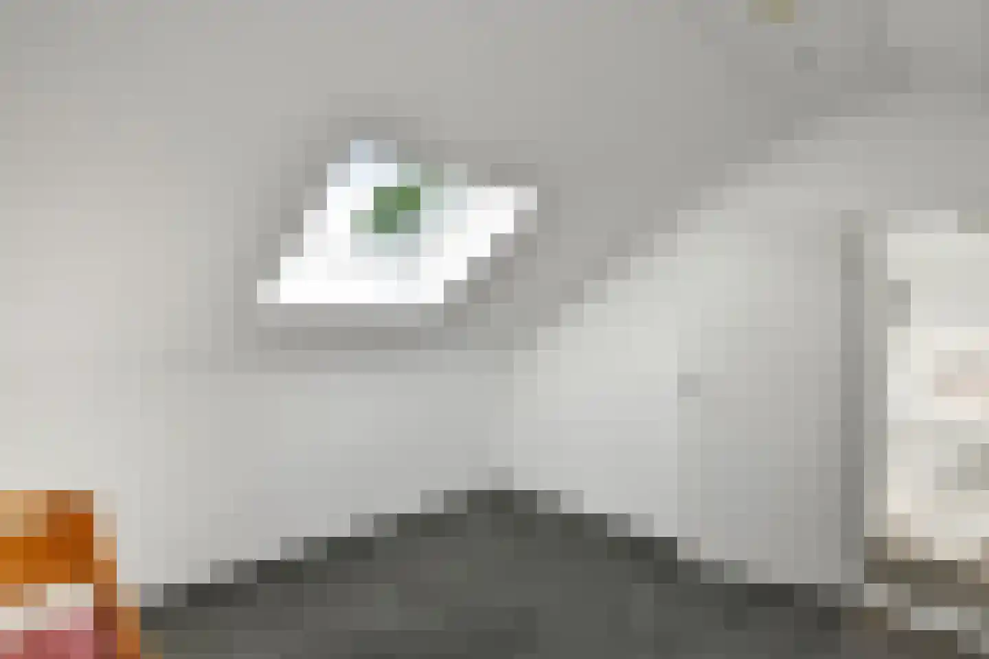 Beethovenstraat 13 Elst thumbnail 38