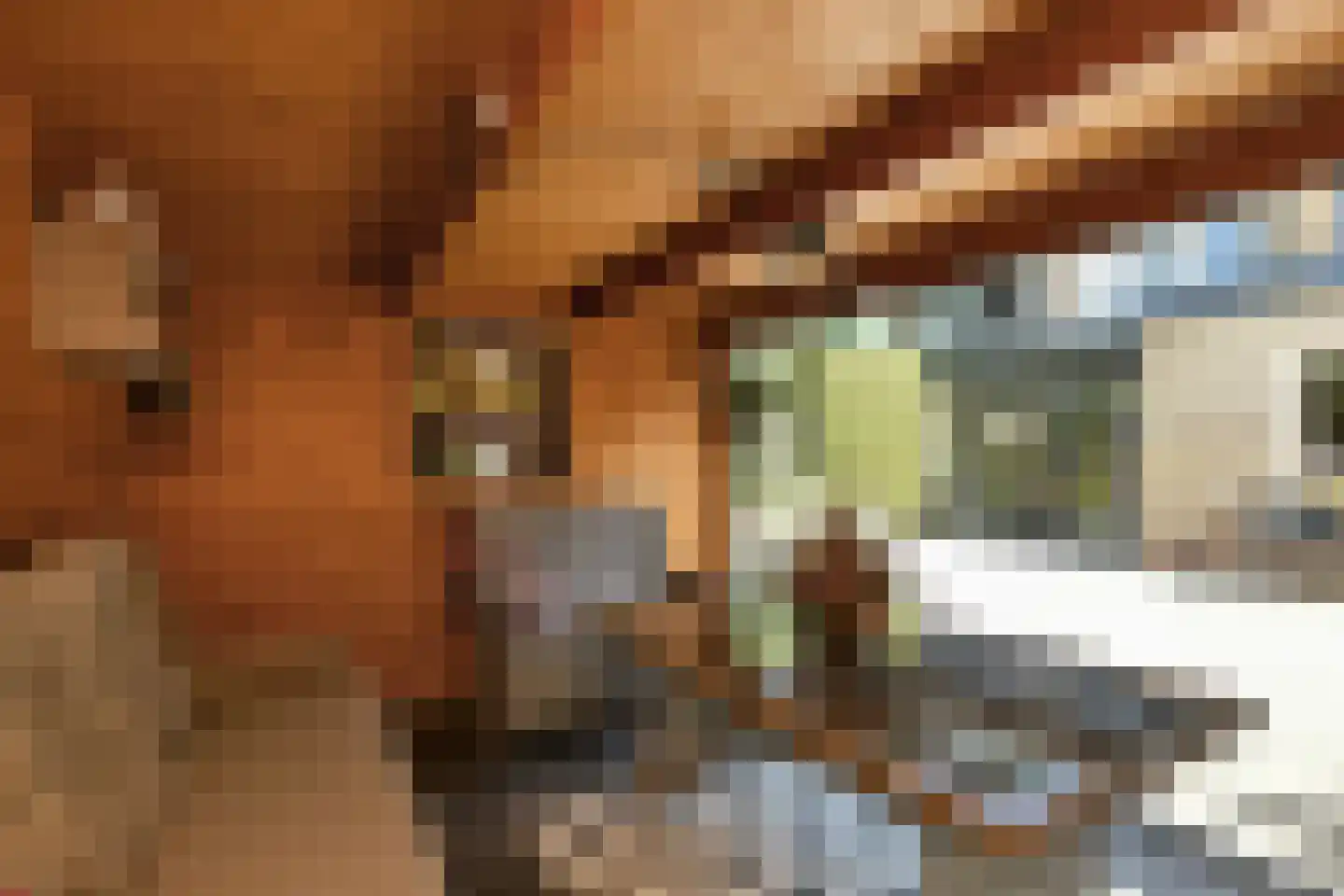 Beethovenstraat 13 Elst thumbnail 46