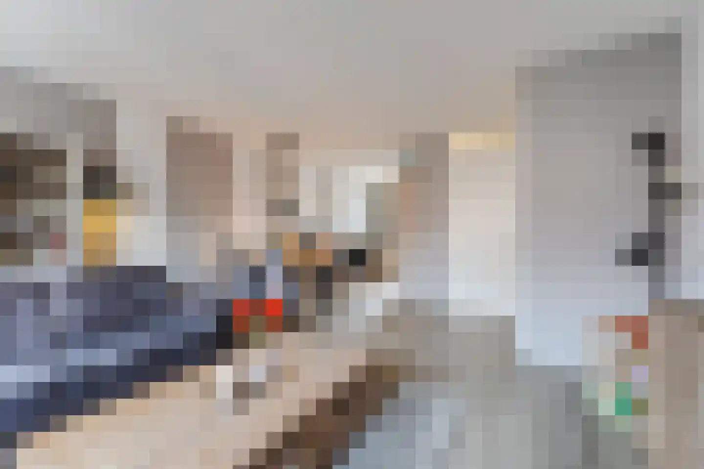 Beethovenstraat 13 Sliedrecht thumbnail 4