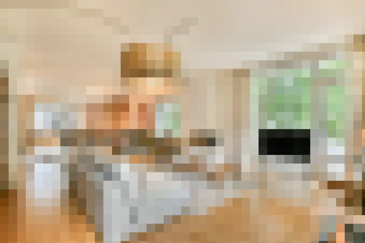 Beethovenstraat 196 2 Amsterdam thumbnail 7