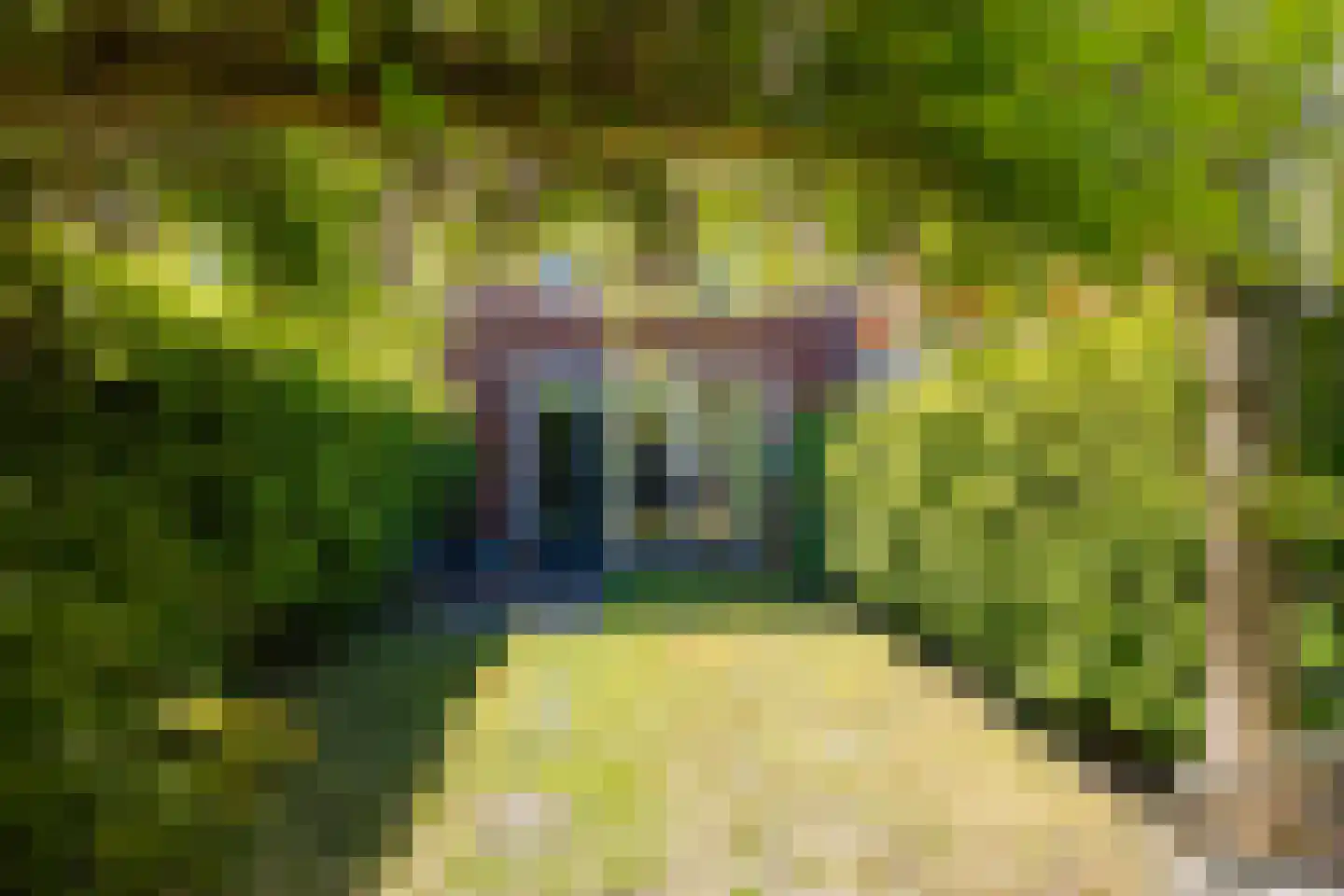 Beethovenstraat 2 Haarlem thumbnail 31