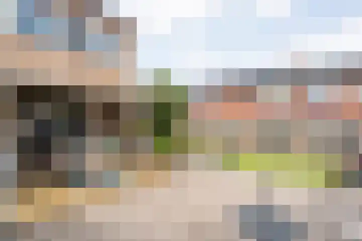 Beethovenstraat 20 Dedemsvaart thumbnail 31