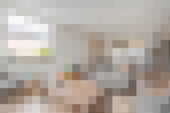 Beethovenstraat 20 Dedemsvaart thumbnail 7