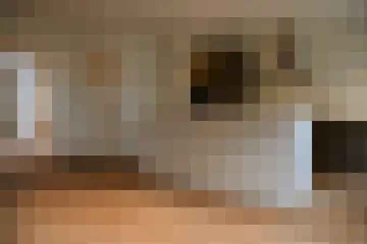 Beethovenstraat 21 1 Amsterdam thumbnail 6