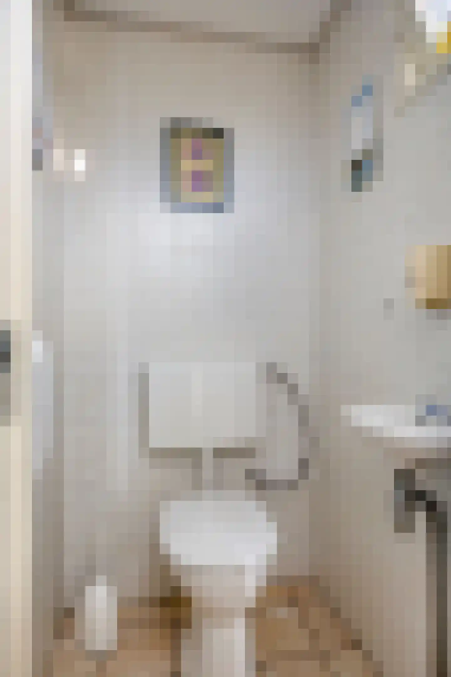 Beethovenstraat 21 Halsteren thumbnail 14