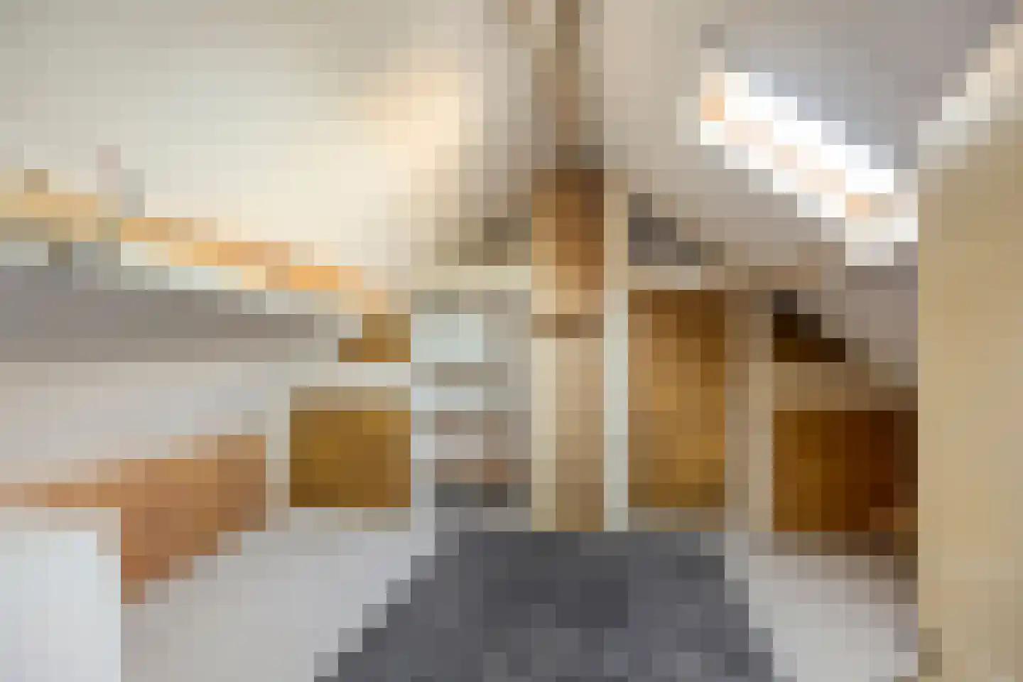 Beethovenstraat 21 Halsteren thumbnail 25