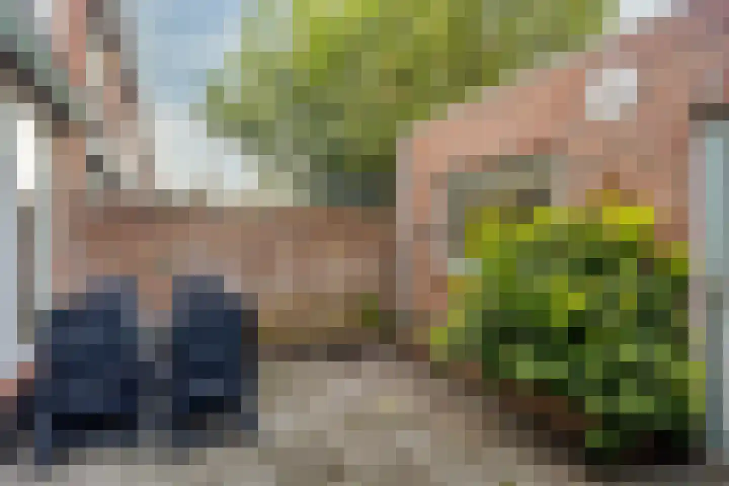 Beethovenstraat 21 Halsteren thumbnail 26