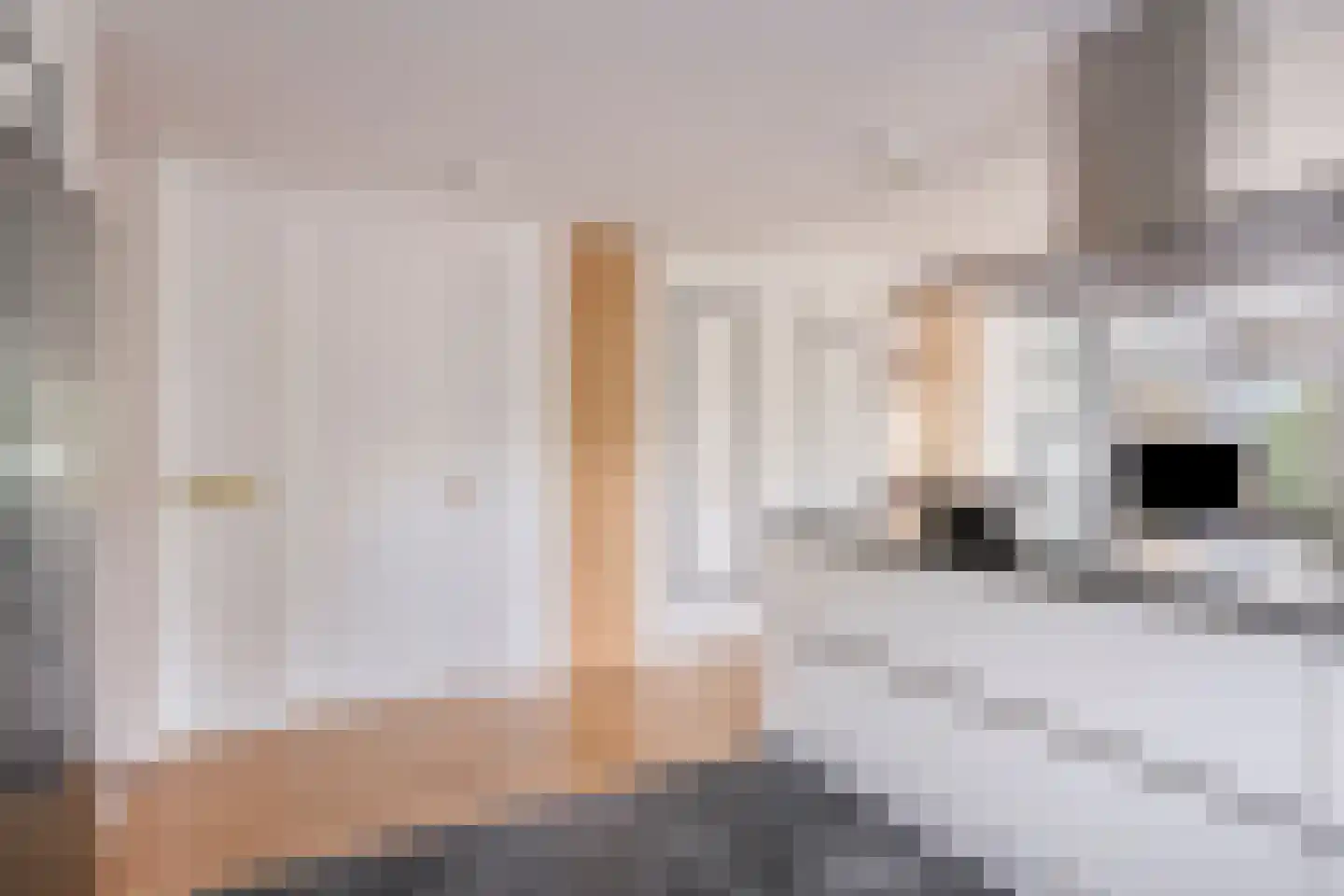 Beethovenstraat 221 Amsterdam thumbnail 12