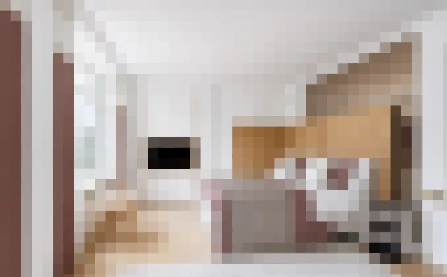 Beethovenstraat 221 Amsterdam thumbnail 15