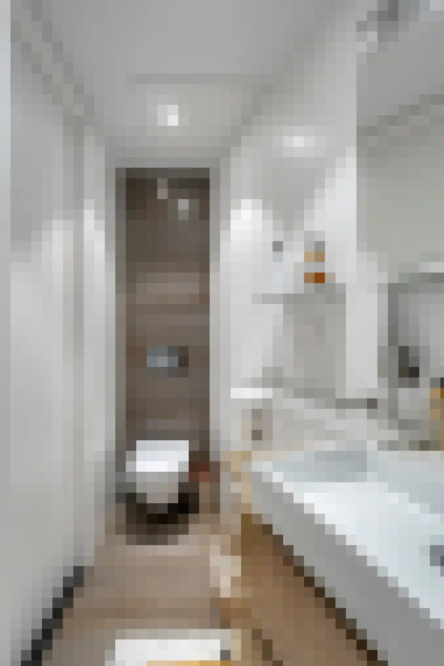 Beethovenstraat 221 Amsterdam thumbnail 30