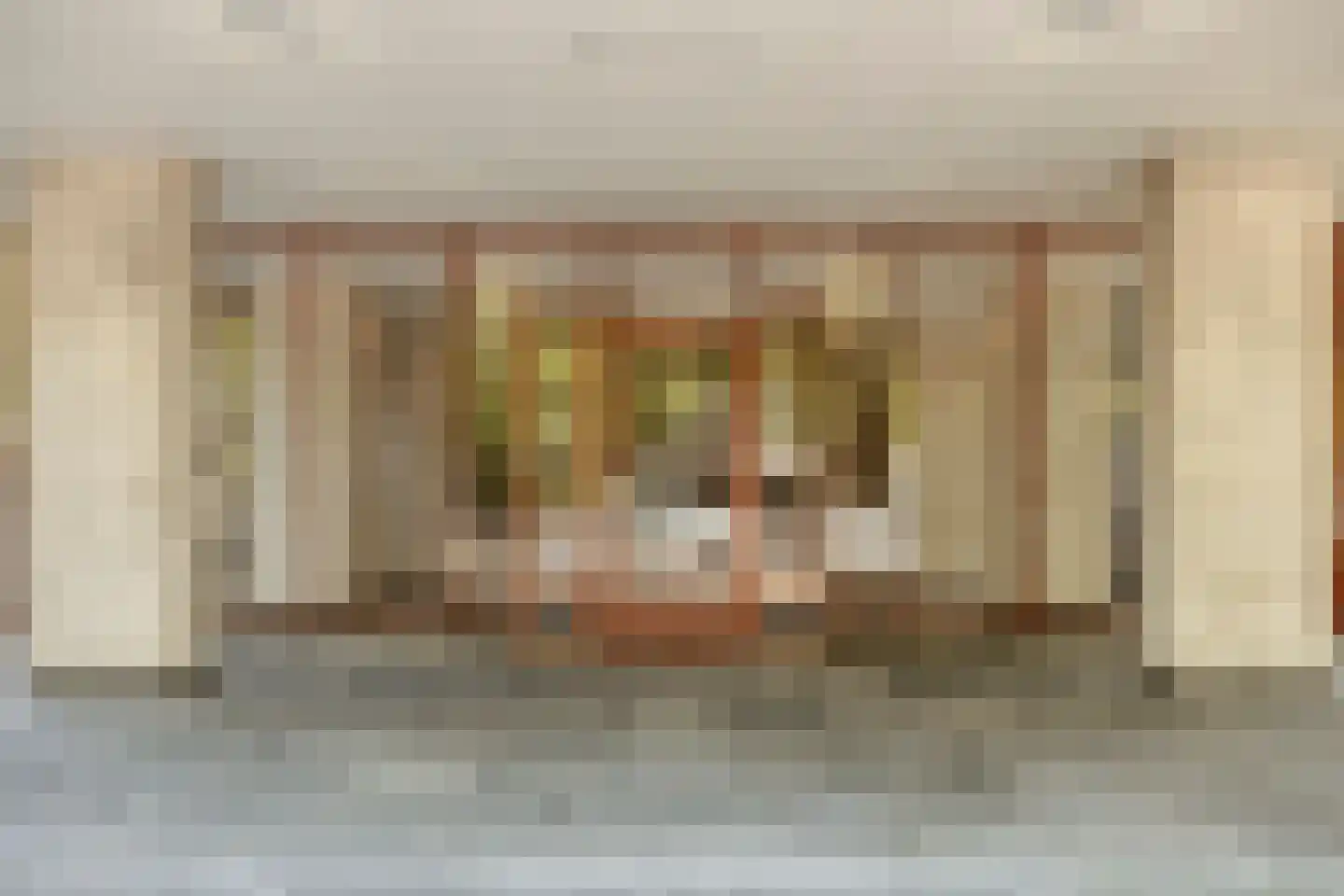 Beethovenstraat 221 Amsterdam thumbnail 32