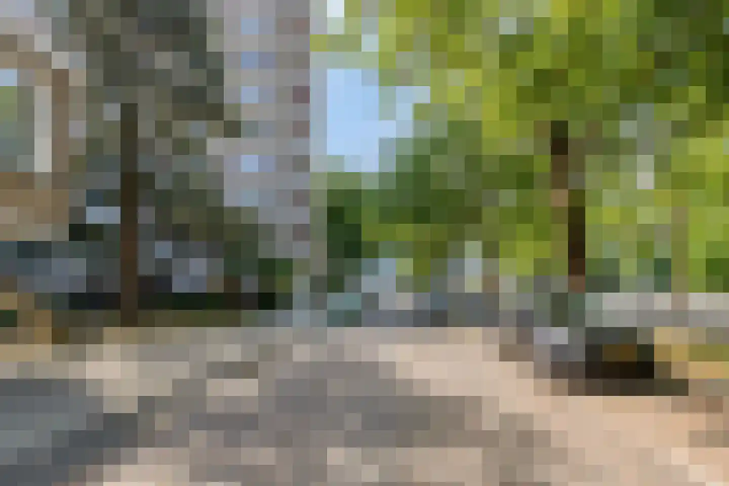 Beethovenstraat 221 Amsterdam thumbnail 34