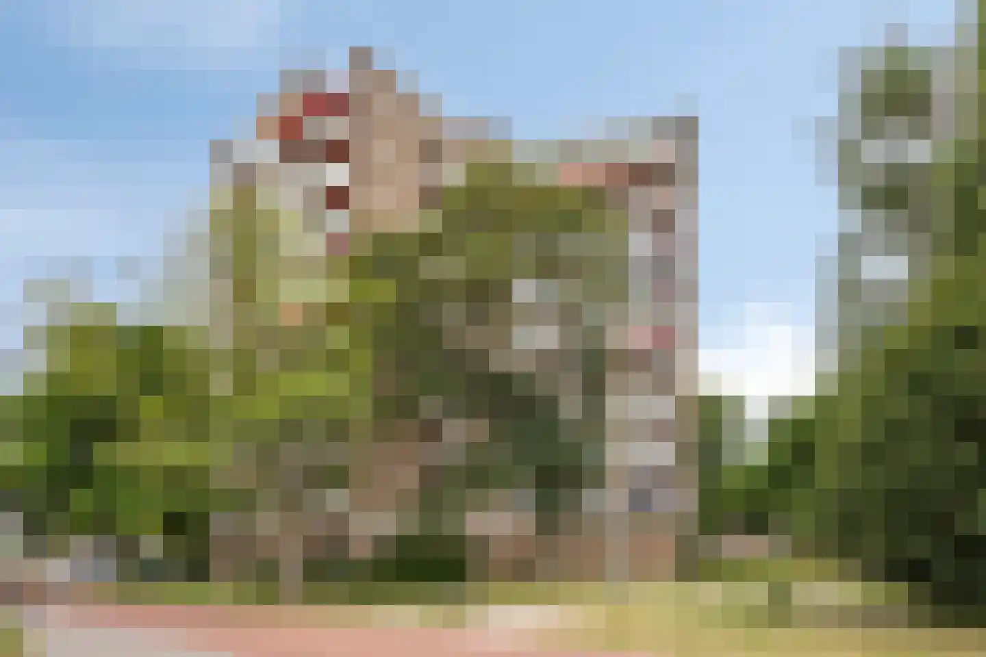 Beethovenstraat 221 Amsterdam thumbnail 37