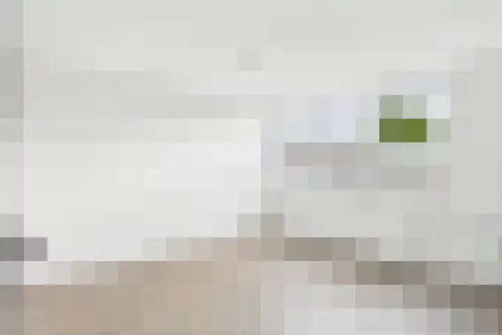 Beethovenstraat 25 Terneuzen thumbnail 11