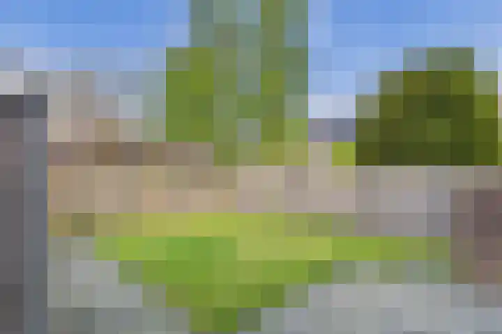 Beethovenstraat 25 Terneuzen thumbnail 22