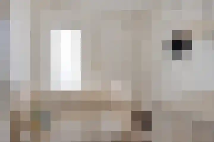 Beethovenstraat 29 Halsteren thumbnail 27