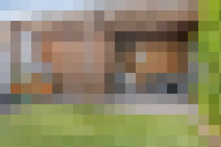Beethovenstraat 29 Halsteren thumbnail 32
