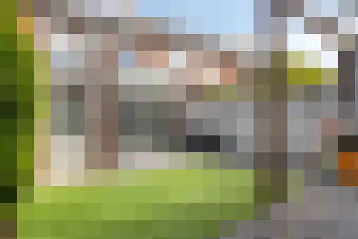 Beethovenstraat 29 Halsteren thumbnail 34