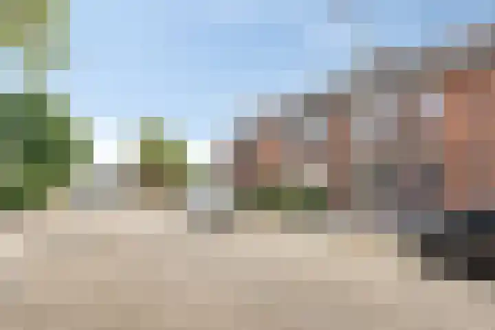 Beethovenstraat 29 Halsteren thumbnail 5