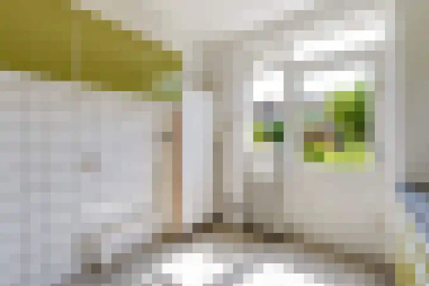 Beethovenstraat 33 Akersloot thumbnail 20