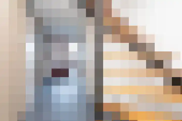 Beethovenstraat 4 Berkel en Rodenrijs thumbnail 5
