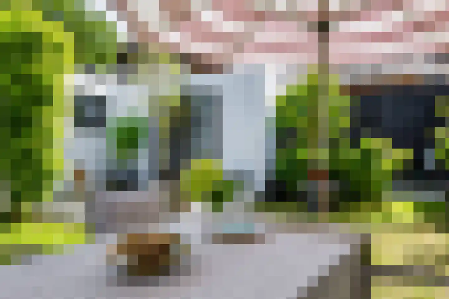 Beethovenstraat 4 Groenlo thumbnail 46
