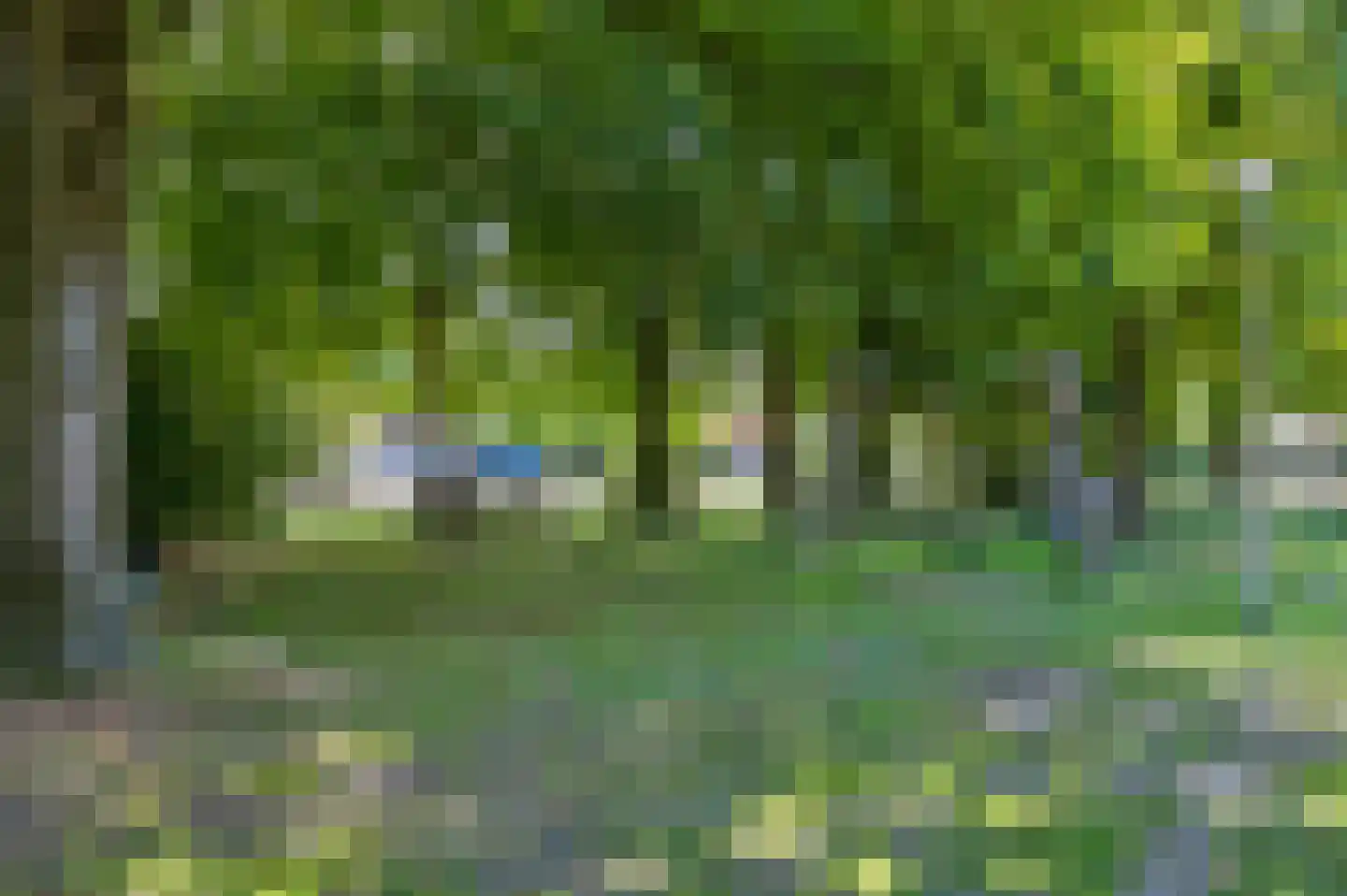 Beethovenstraat 4 Groenlo thumbnail 52