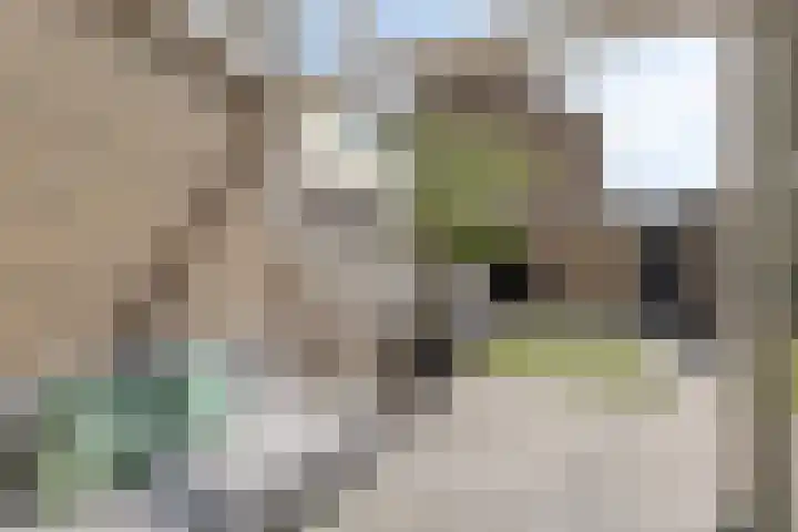 Beethovenstraat 4 Haaksbergen thumbnail 33