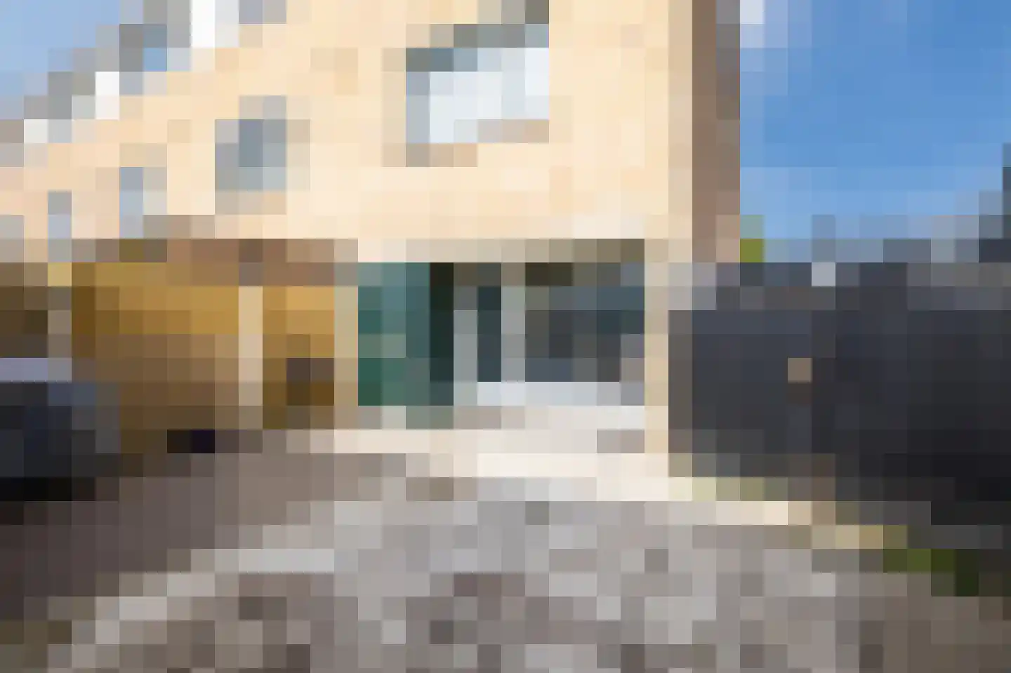 Beethovenstraat 44 Roermond thumbnail 35