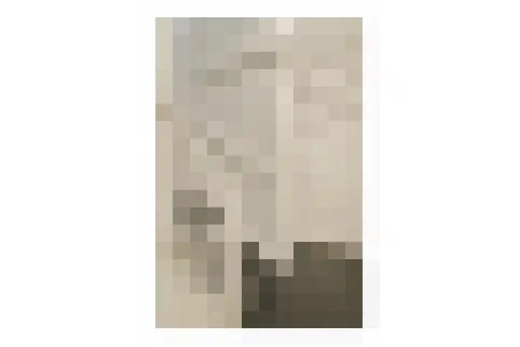 Beethovenstraat 5 Amsterdam thumbnail 4