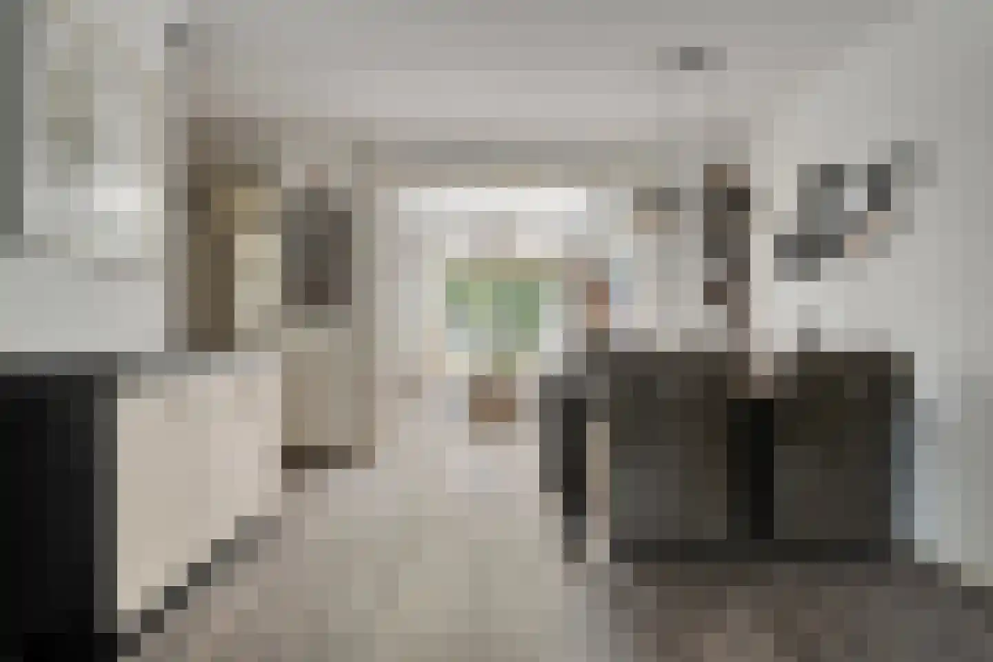 Beethovenstraat 73 Dedemsvaart thumbnail 13