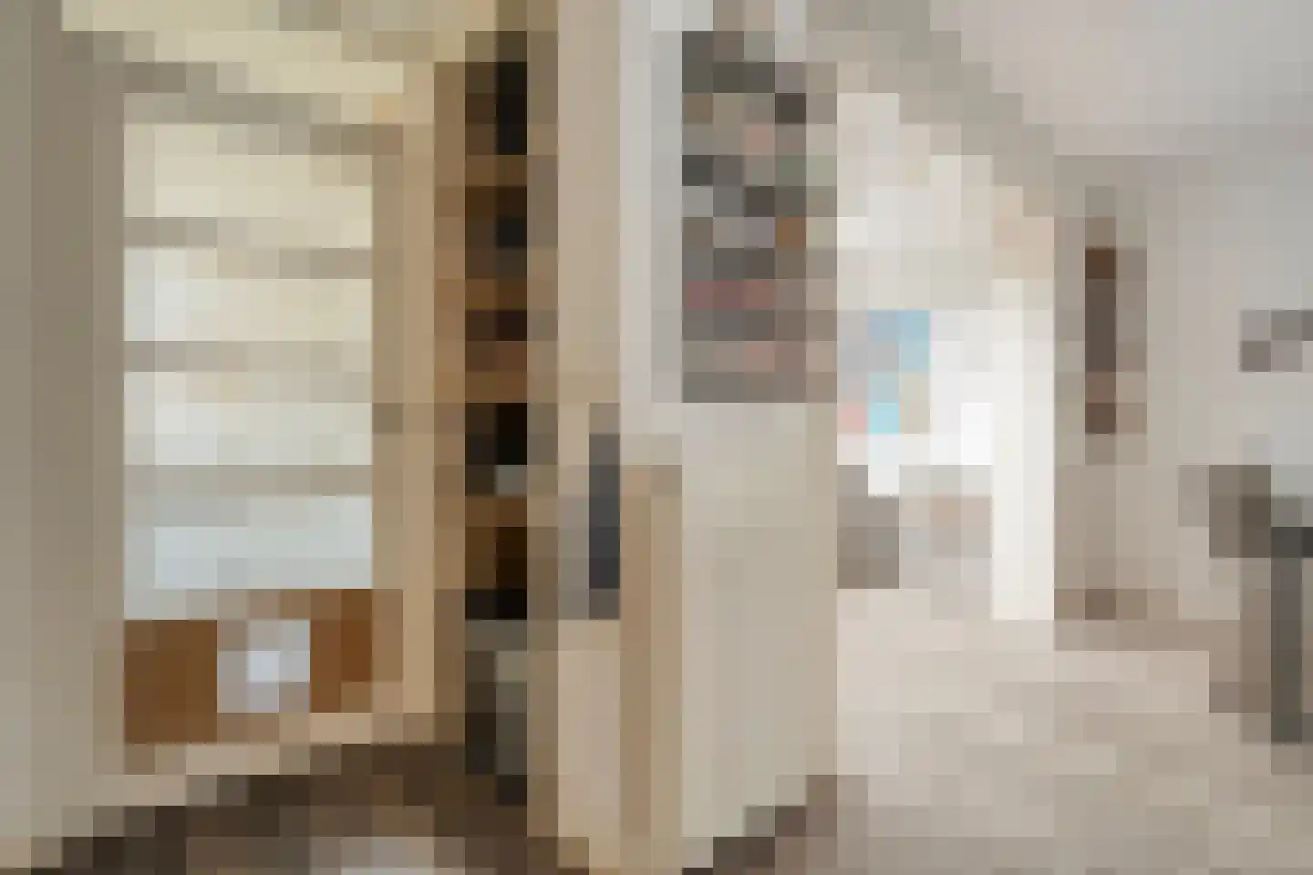 Beethovenstraat 73 Dedemsvaart thumbnail 21