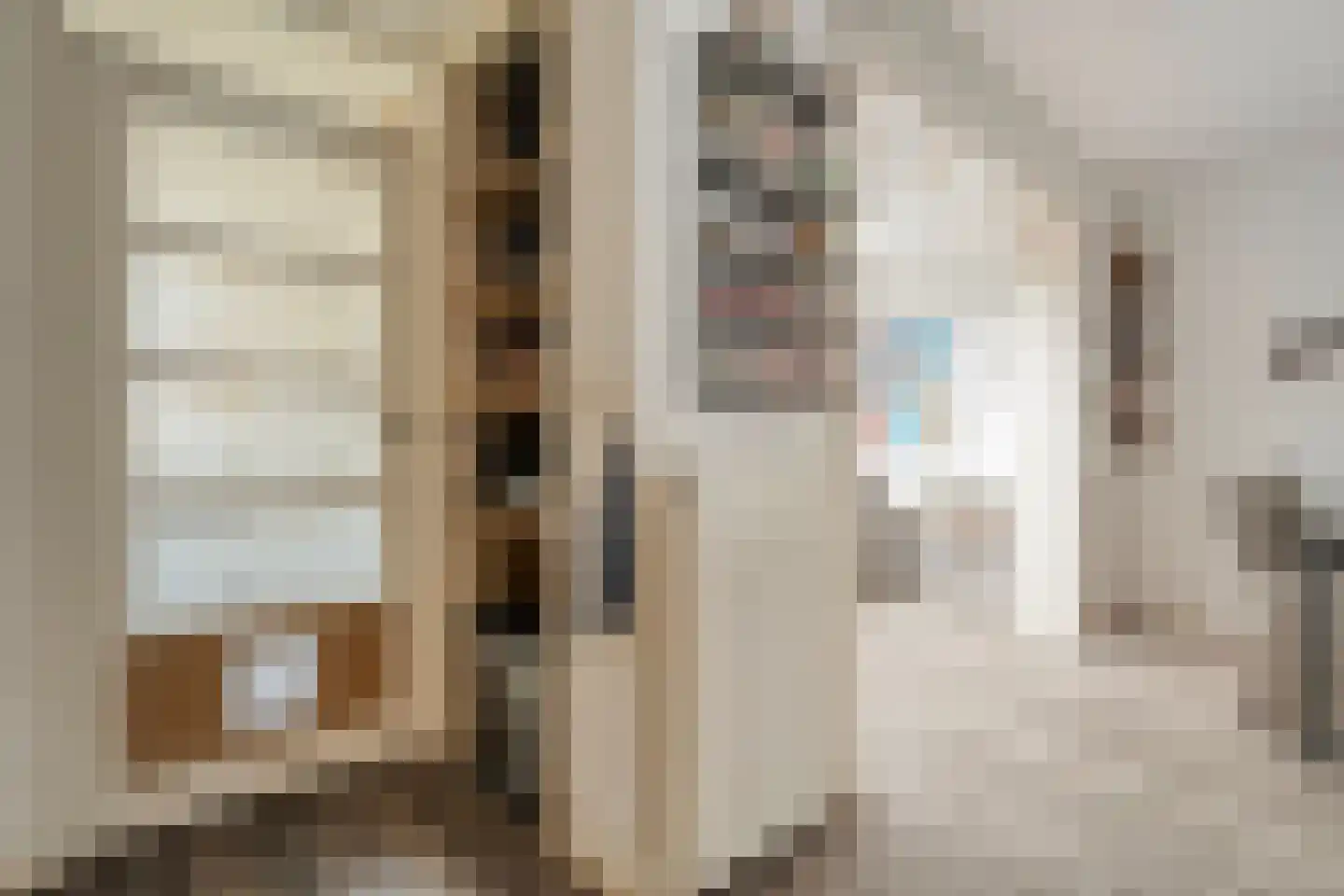 Beethovenstraat 73 Dedemsvaart thumbnail 29