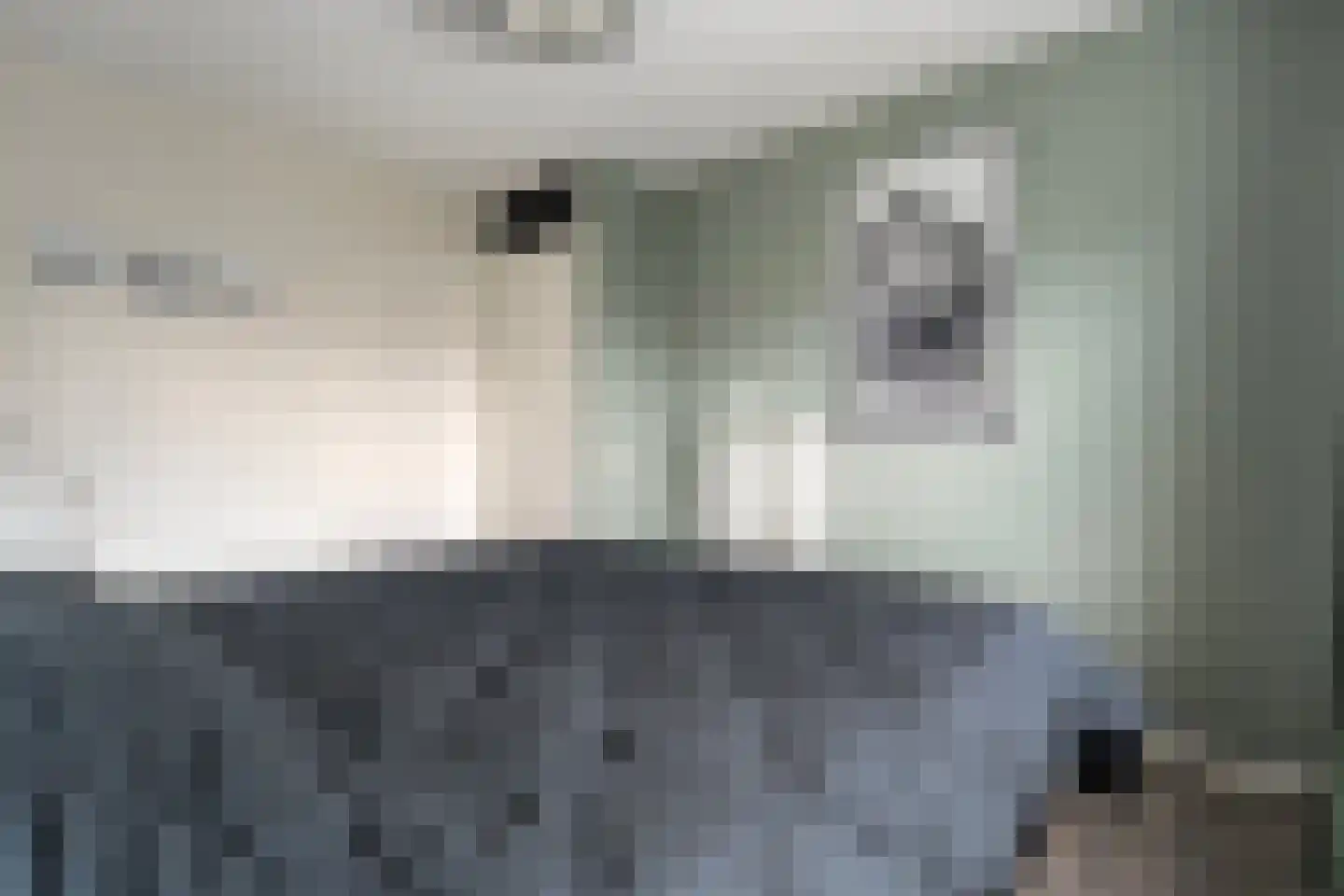 Beethovenstraat 73 Dedemsvaart thumbnail 30