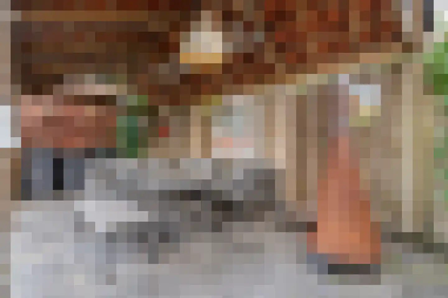 Beethovenstraat 73 Dedemsvaart thumbnail 45