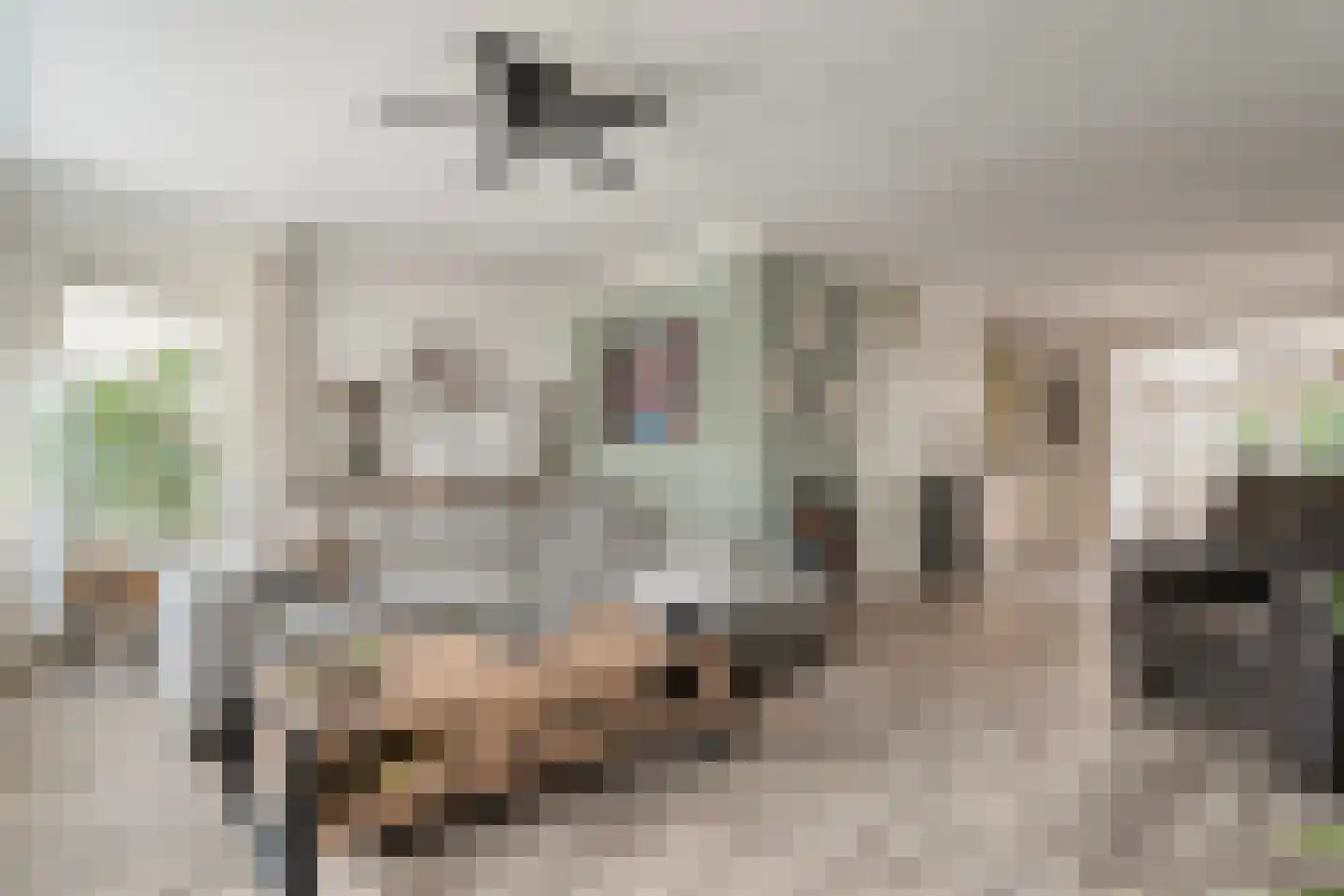 Beethovenstraat 73 Dedemsvaart thumbnail 7