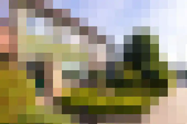 Beethovenstraat 75 Eerbeek thumbnail 37
