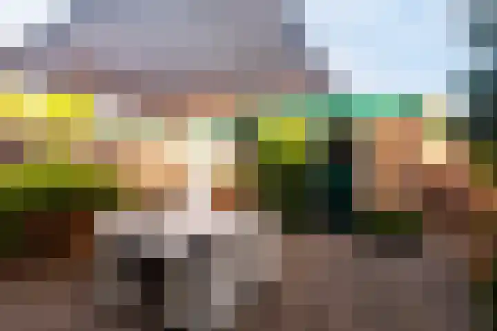 Beethovenstraat 75 Eerbeek thumbnail 5
