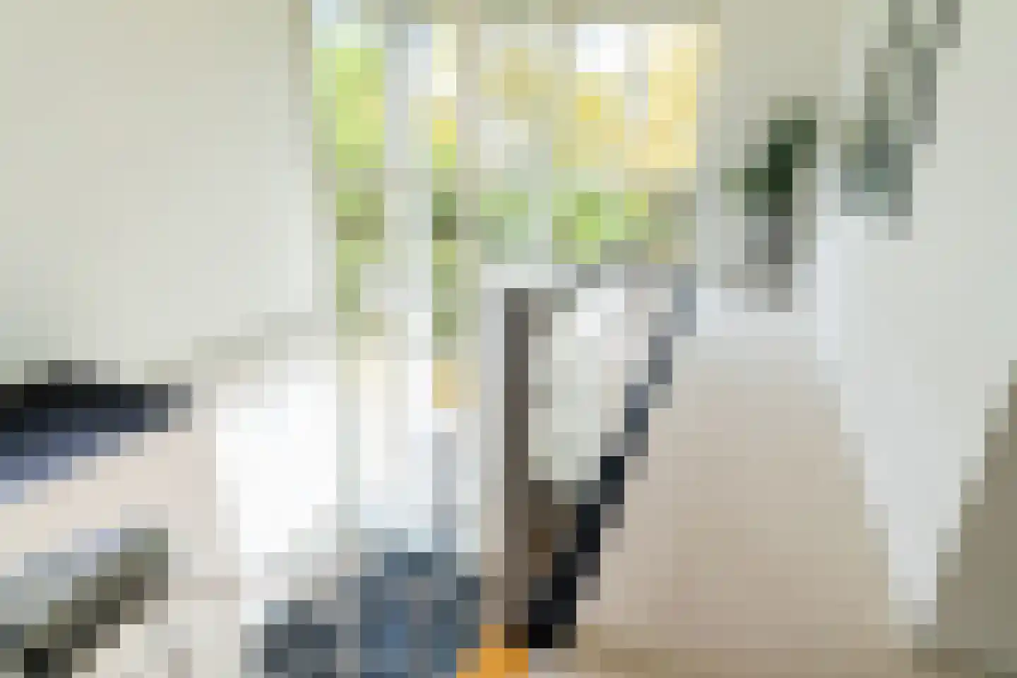 Beethovenstraat 8 Kaatsheuvel thumbnail 6