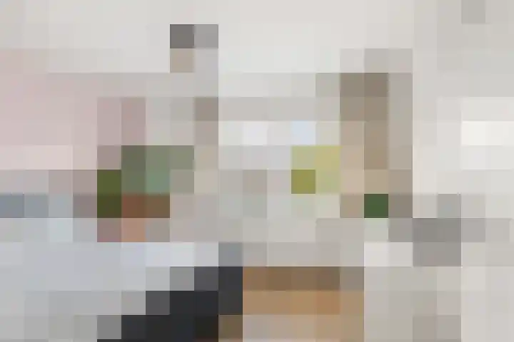 Beethovenstraat 89 Heemskerk thumbnail 14