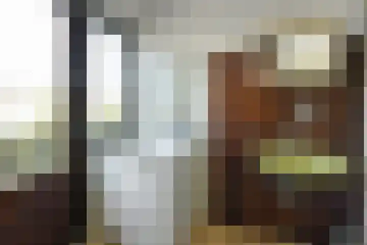 Beethovenstraat 9 Elst thumbnail 32