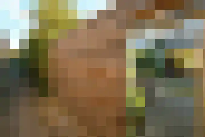 Beethovenstraat 9 Elst thumbnail 47