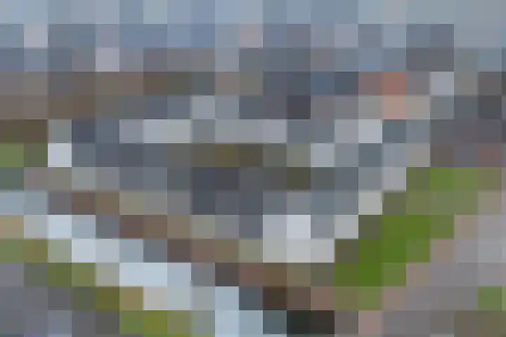 Beethovenstraat 9 Elst thumbnail 50