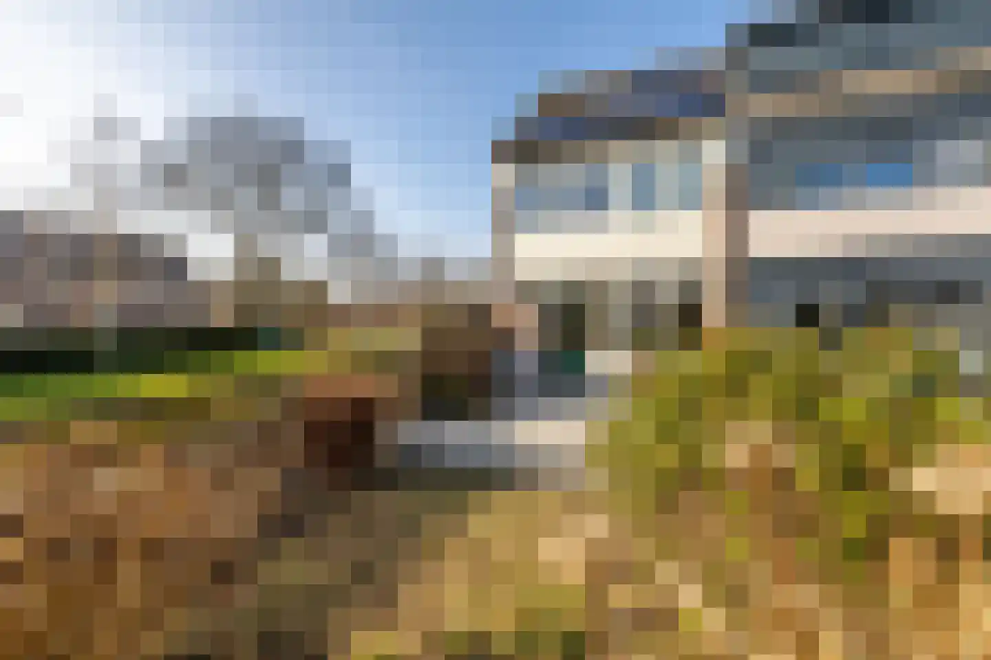 Beethovenstraat 9 Elst thumbnail 6
