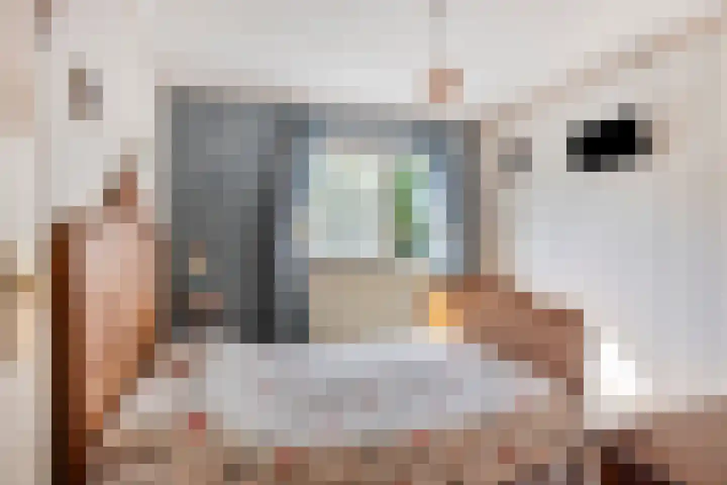Beethovenstraat 9 Purmerend thumbnail 25