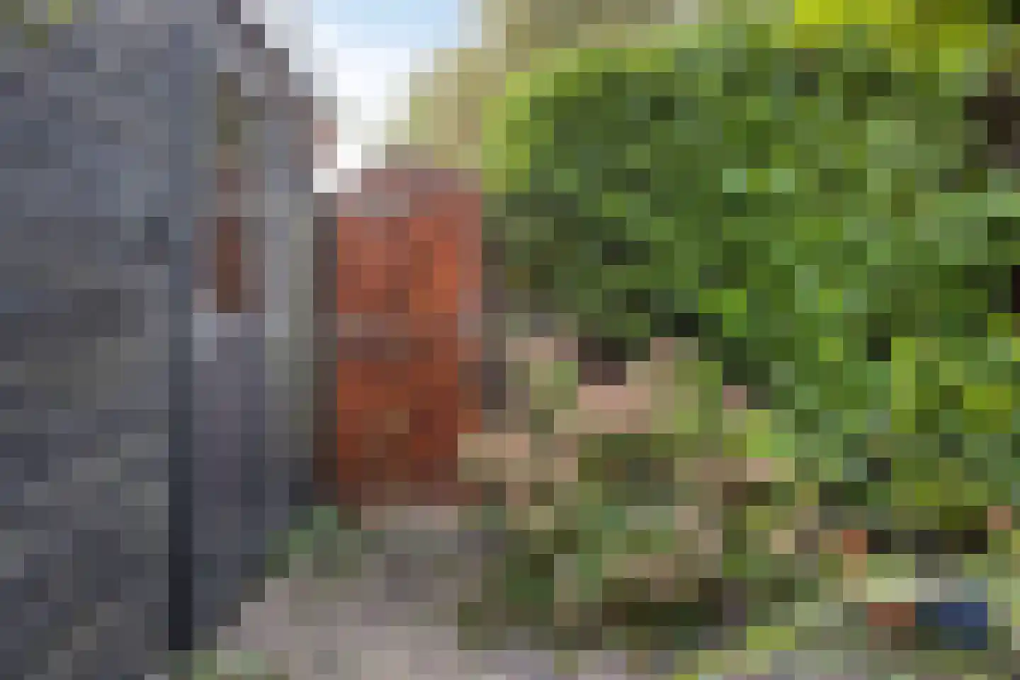 Beethovenstraat 9 Purmerend thumbnail 45
