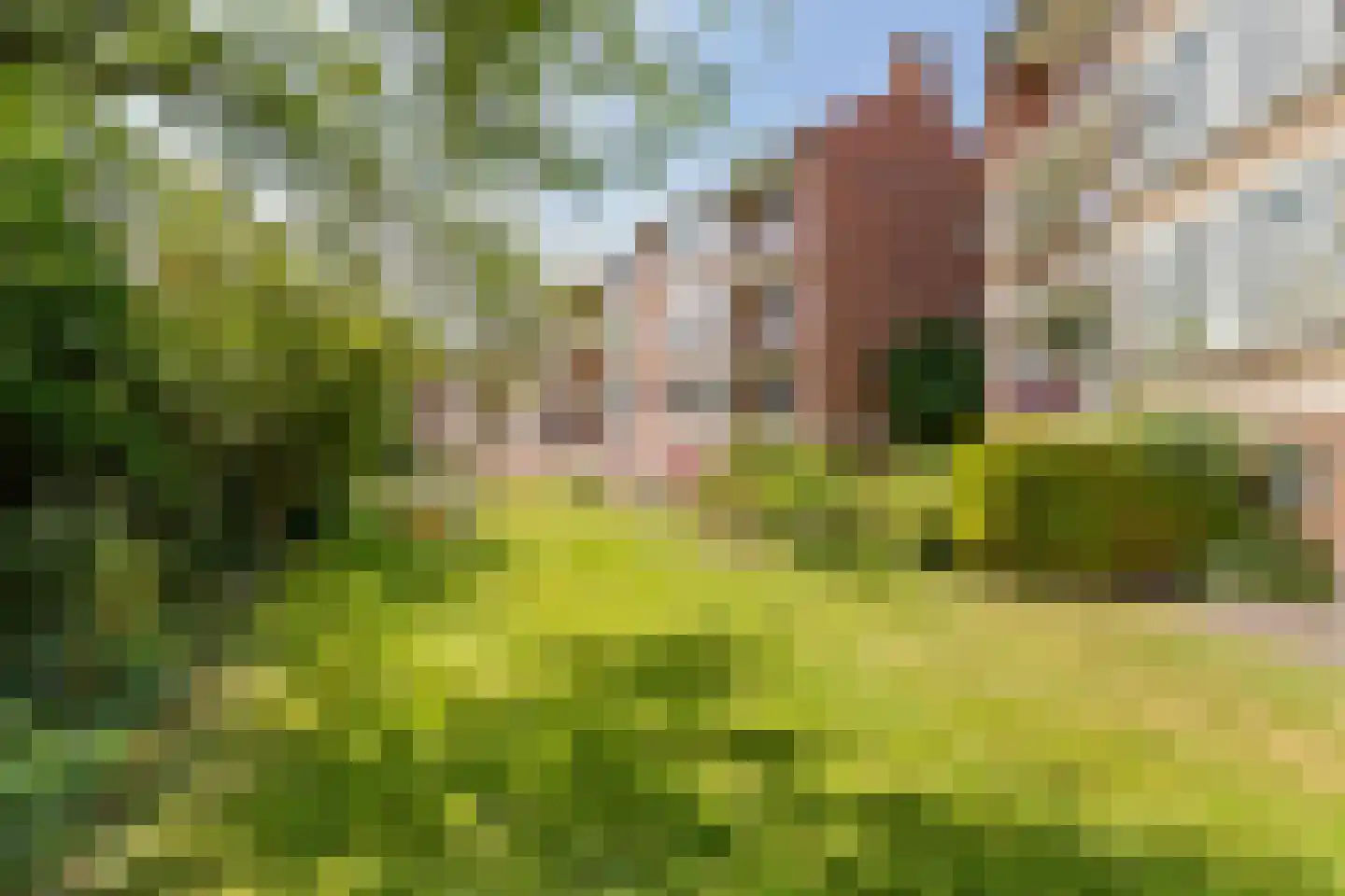 Beethovenweg 25 A Amersfoort thumbnail 27