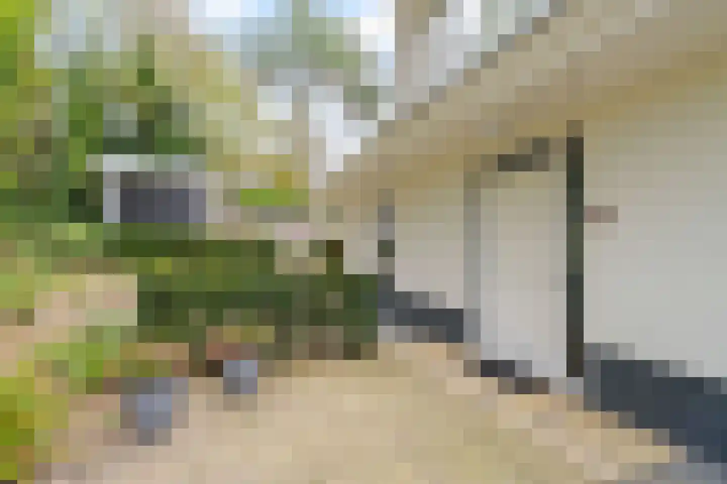 Beethovenweg 31 Noordwijk thumbnail 5