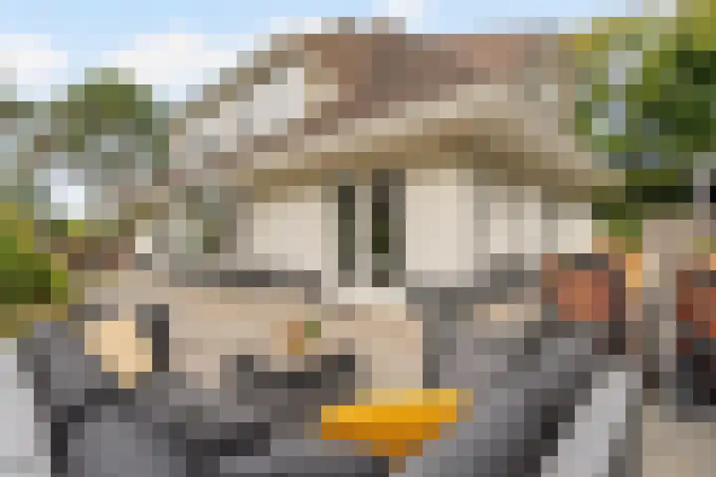 Beethovenweg 31 Noordwijk thumbnail 9