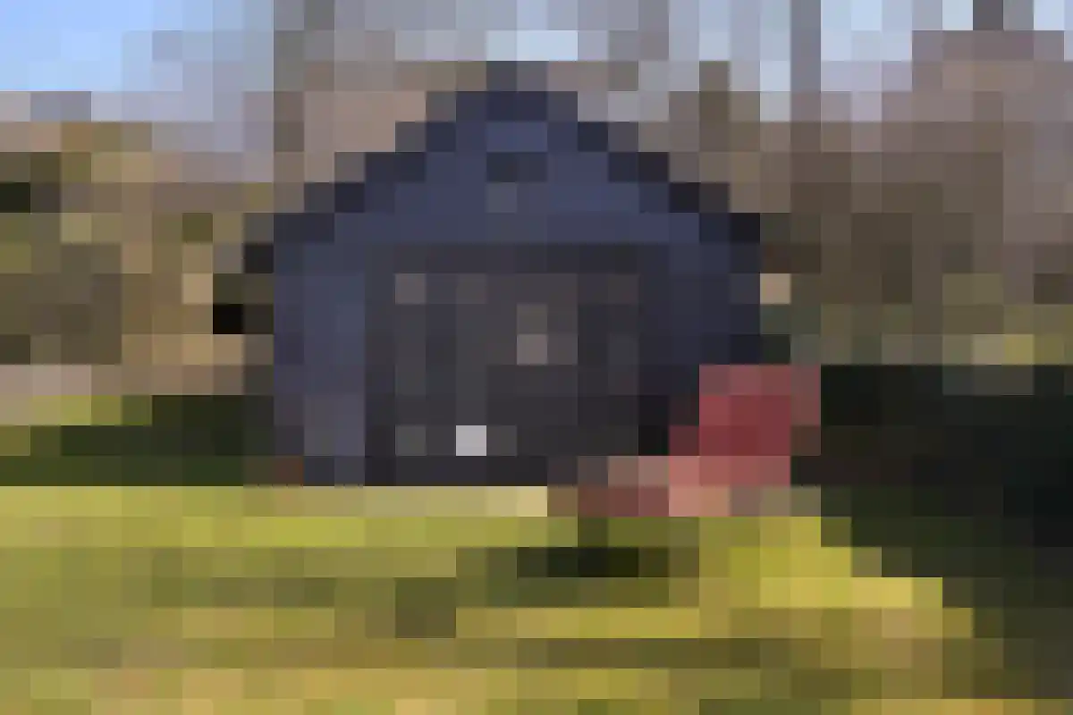 Beethovenweg 37 Noordwijk thumbnail 15
